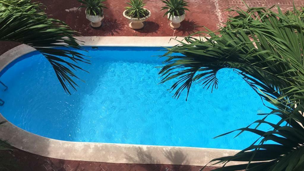 Arcoiris Share Apartment Bavaro 蓬塔卡纳 外观 照片